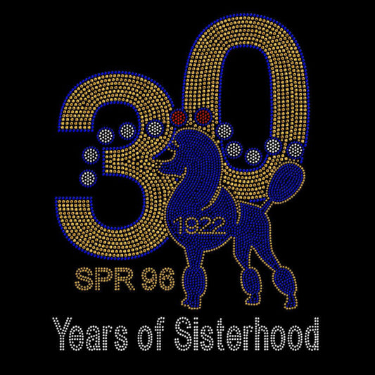 30 Years of Sisterhood Rhinestone Tee