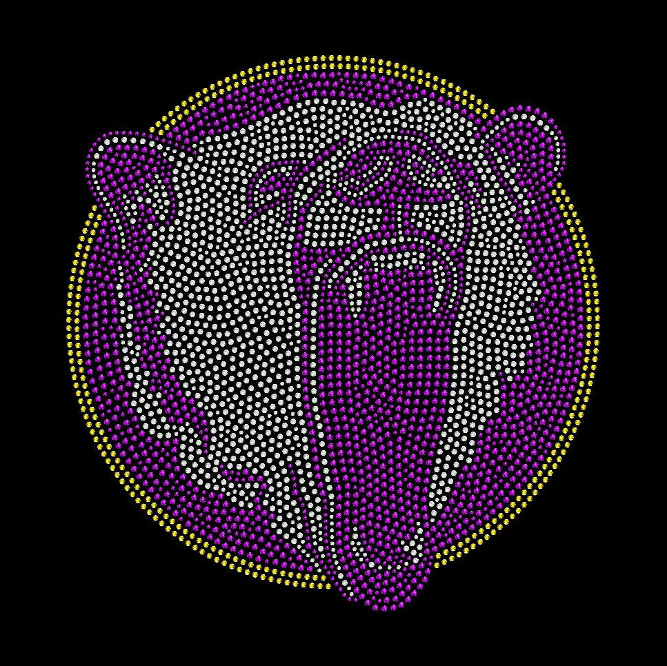 Jackson HS Rhinestone Tee